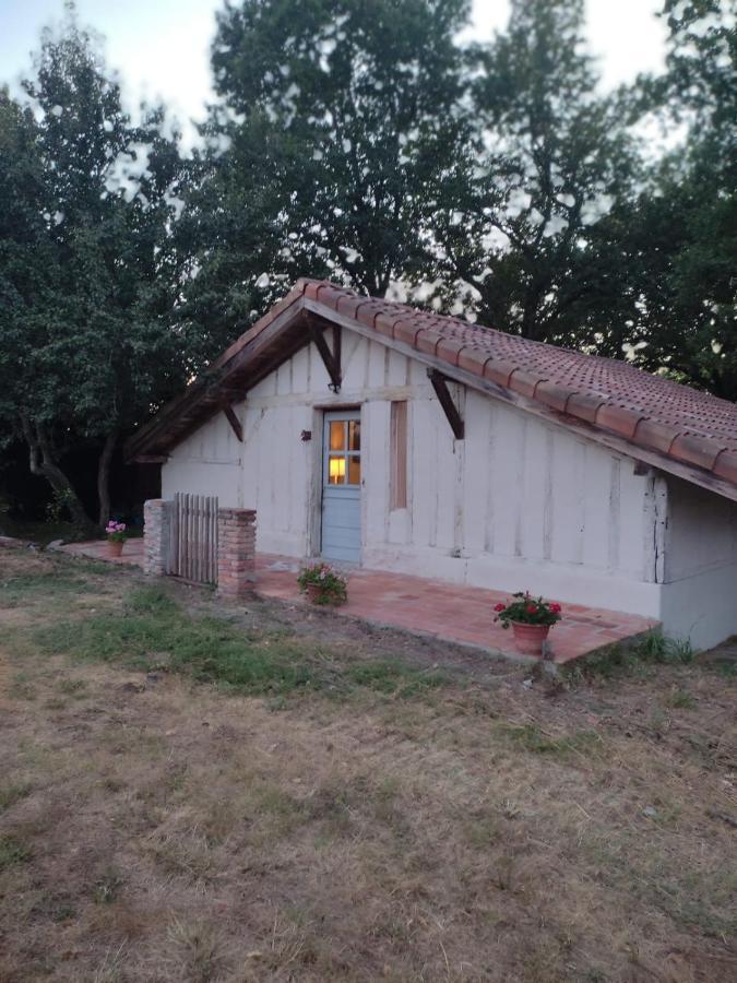 Maisonnette Vue Sur Foret Campagne  외부 사진